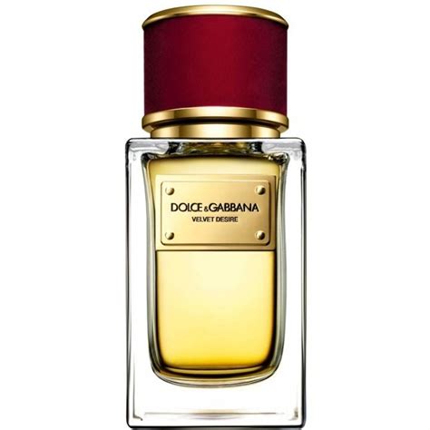 velvet desire dolce gabbana|authentic dolce gabbana perfume.